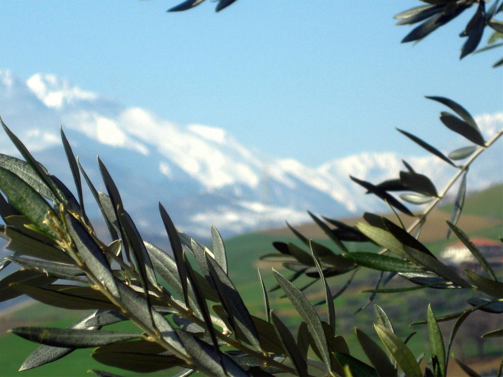 Agriturismo Cignale Penne المظهر الخارجي الصورة