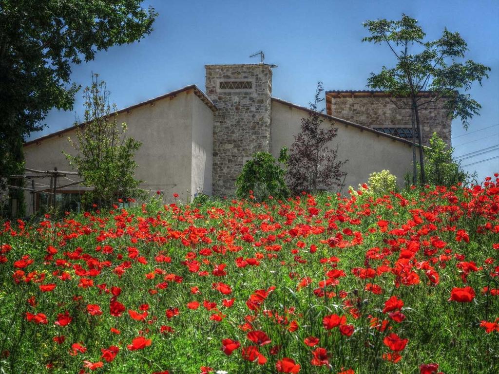 Agriturismo Cignale Penne المظهر الخارجي الصورة