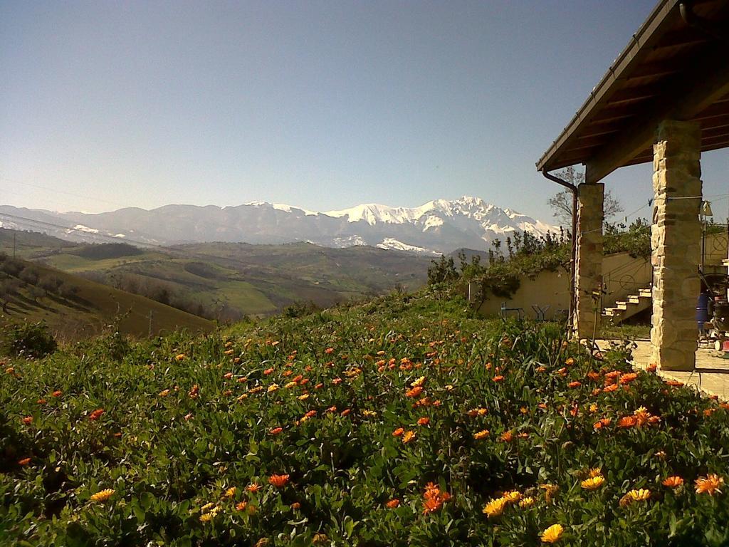 Agriturismo Cignale Penne المظهر الخارجي الصورة
