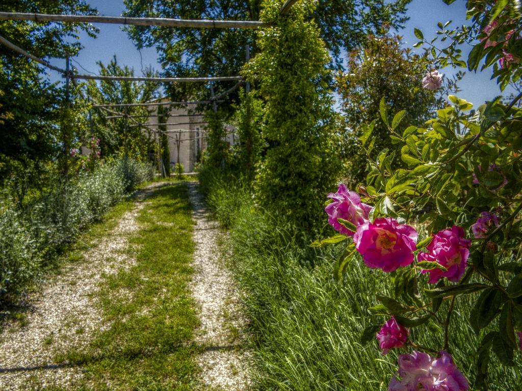 Agriturismo Cignale Penne المظهر الخارجي الصورة