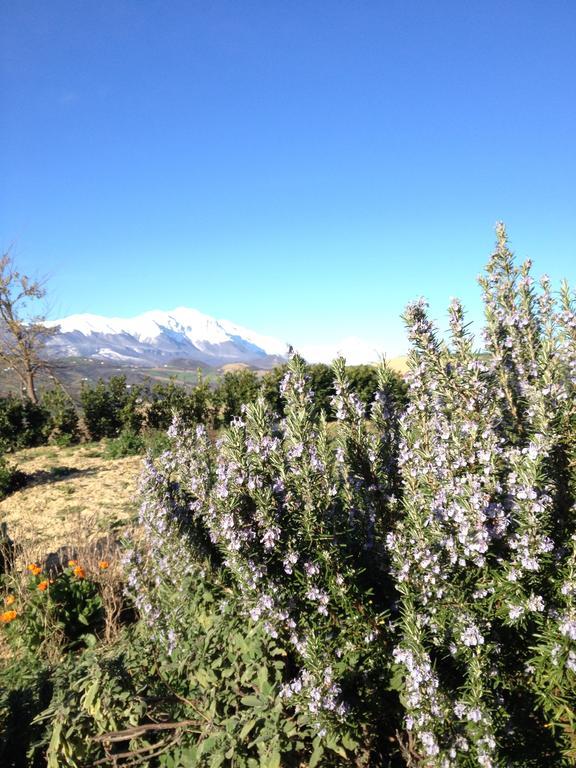 Agriturismo Cignale Penne المظهر الخارجي الصورة