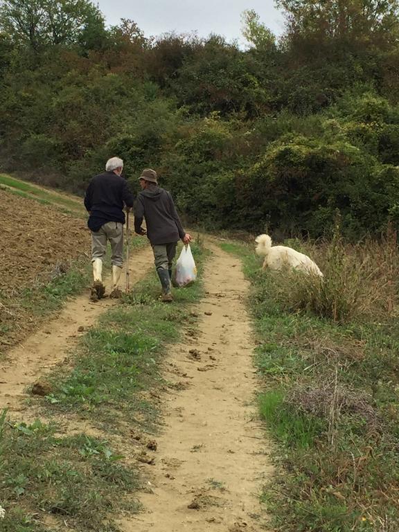 Agriturismo Cignale Penne المظهر الخارجي الصورة
