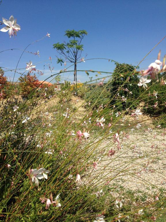 Agriturismo Cignale Penne المظهر الخارجي الصورة