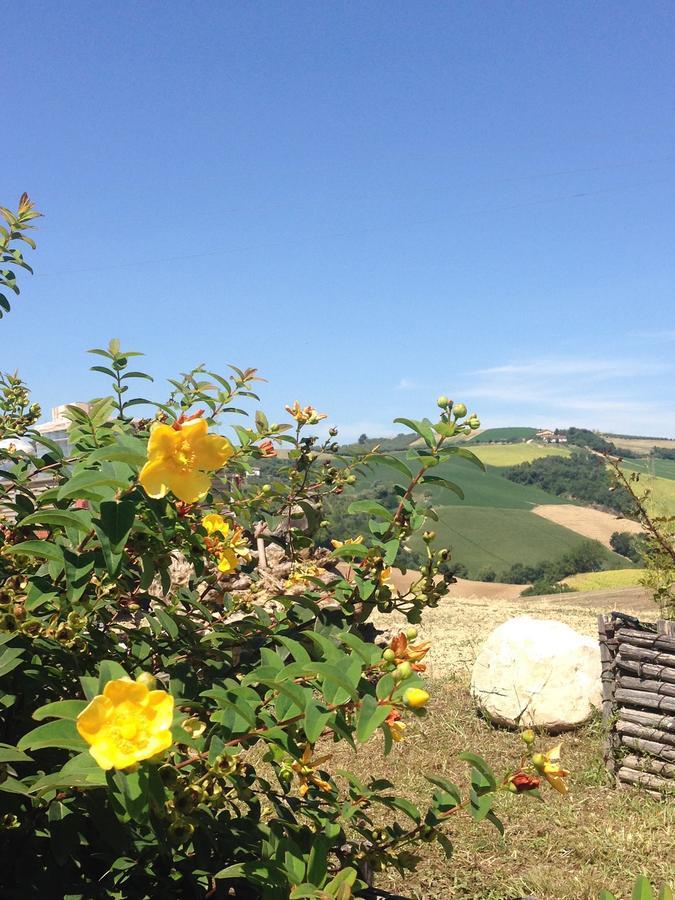 Agriturismo Cignale Penne المظهر الخارجي الصورة