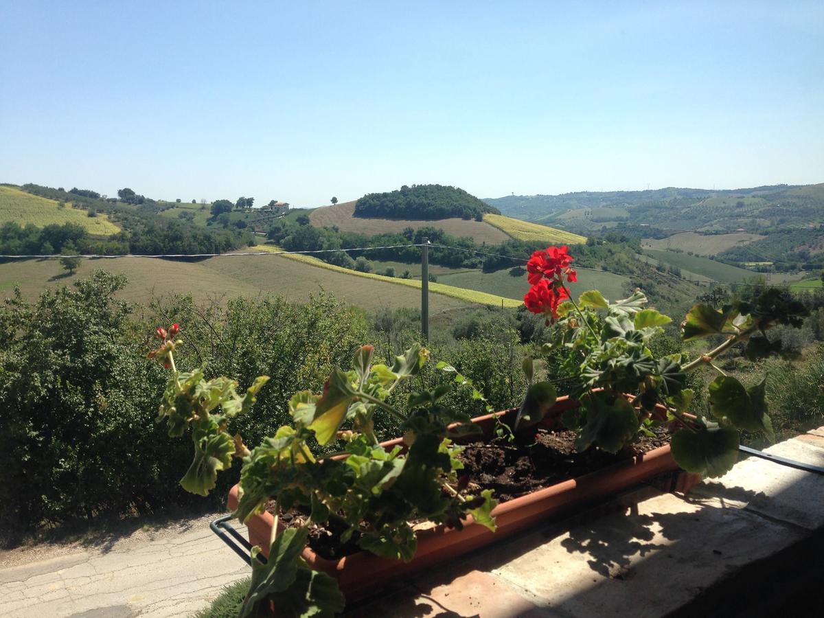 Agriturismo Cignale Penne المظهر الخارجي الصورة