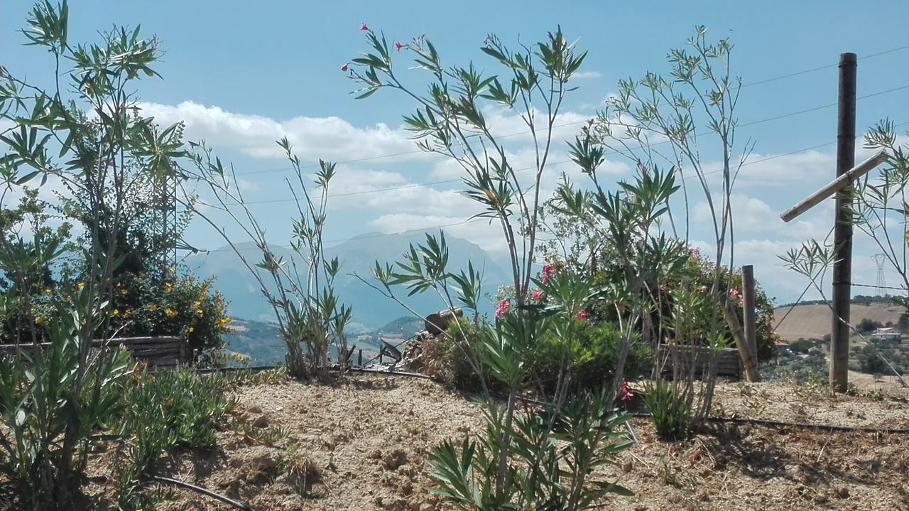 Agriturismo Cignale Penne المظهر الخارجي الصورة