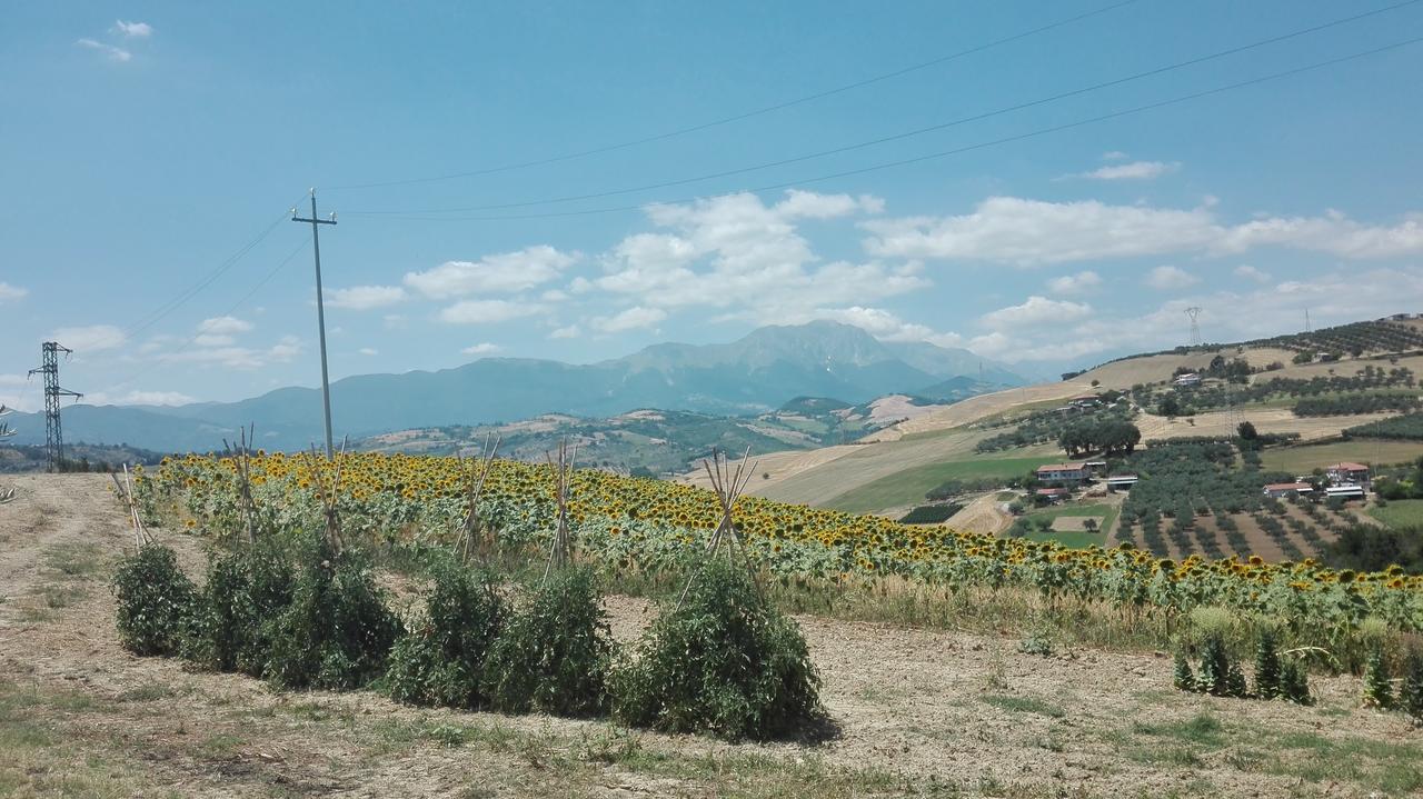 Agriturismo Cignale Penne المظهر الخارجي الصورة