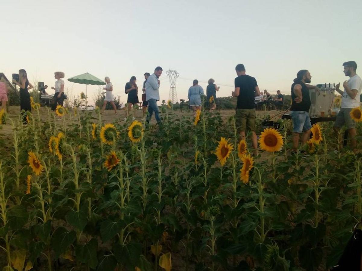 Agriturismo Cignale Penne المظهر الخارجي الصورة