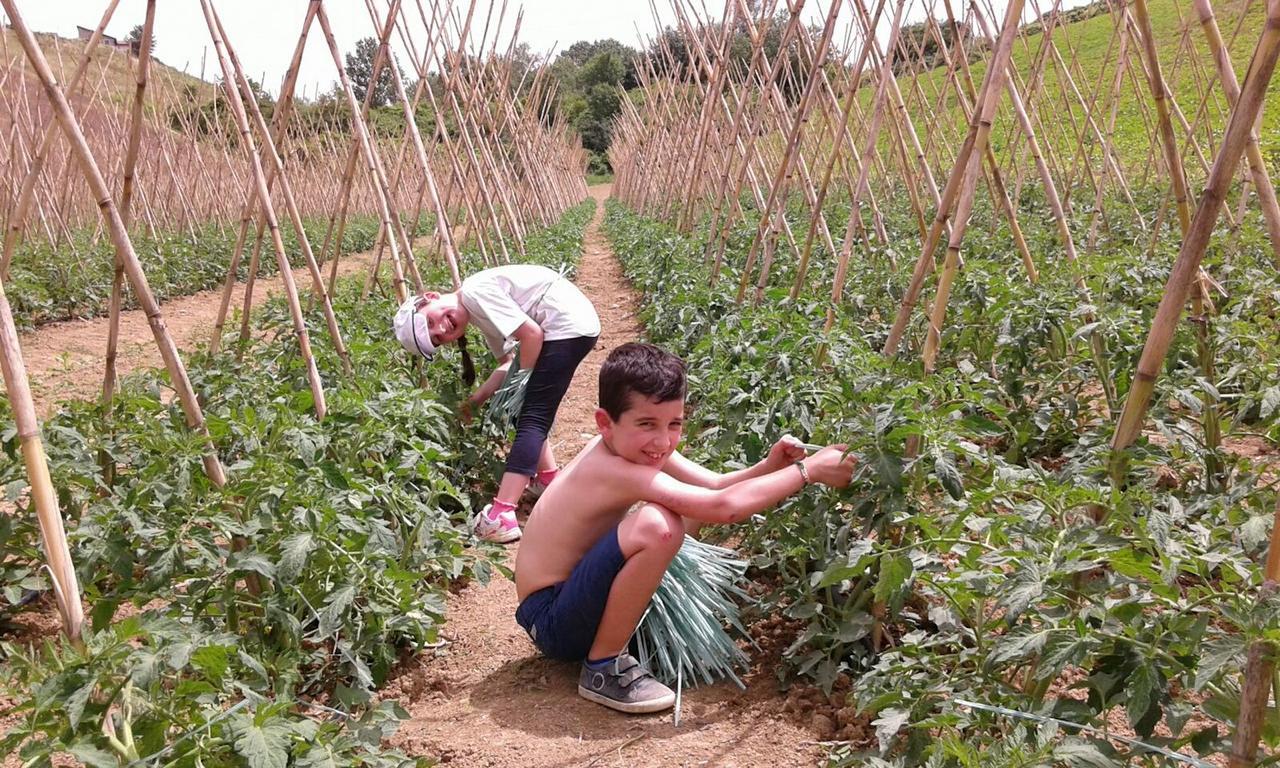 Agriturismo Cignale Penne المظهر الخارجي الصورة