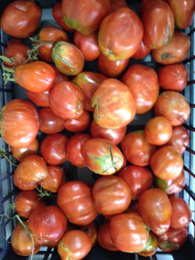 Agriturismo Cignale Penne المظهر الخارجي الصورة